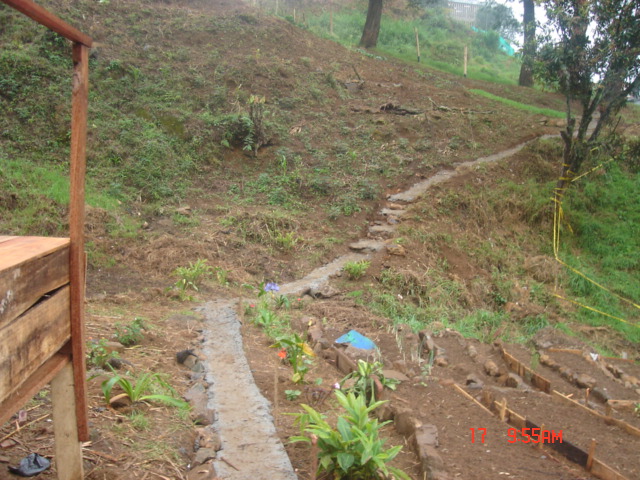 sendero de entrada a la granja