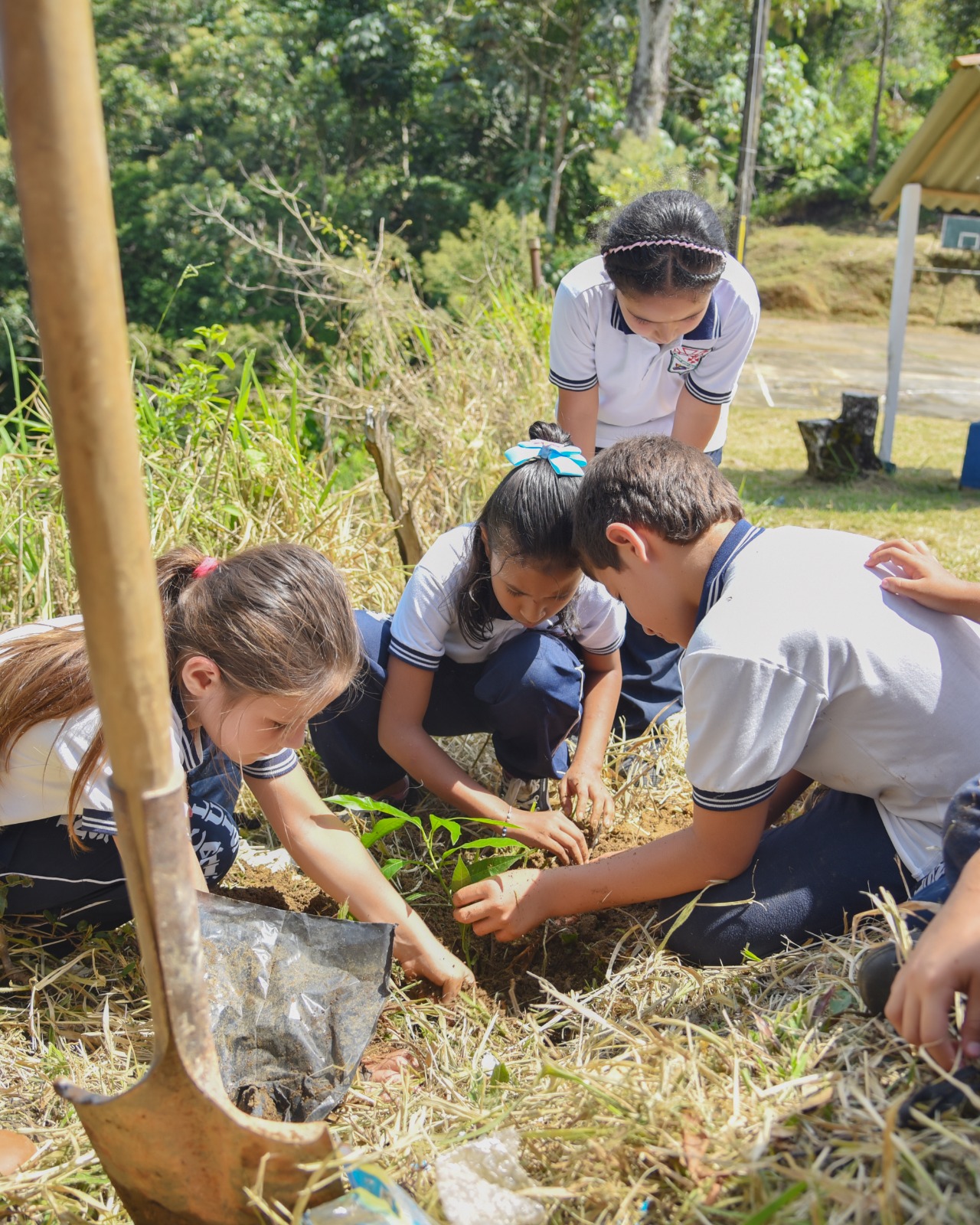 enseñamos a nuestros niños